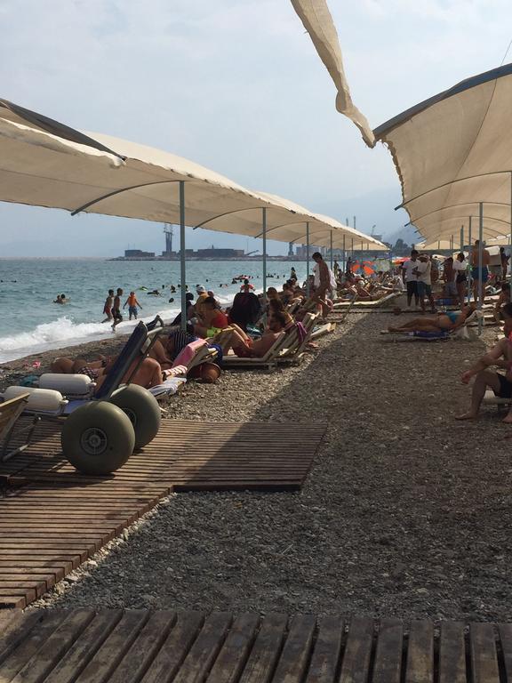 Aslan Daire Antalya